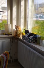 IMG_20240127_133038.jpg