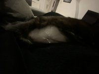 IMG_8075.jpeg