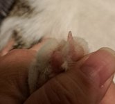 20240130_195312.jpg