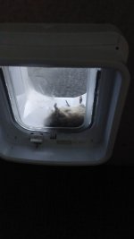 IMG-20240131-WA0000.jpeg