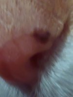 20231221_183224.jpg