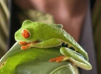 IMG_0693.jpeg