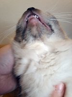 20240222_200529.jpg