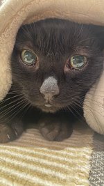 IMG_9097.jpeg