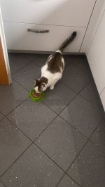 IMG-20231226-WA0004.jpg