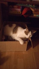 IMG-20231019-WA0007.jpeg
