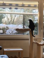IMG_5438.jpeg