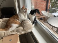 IMG_5442.jpeg