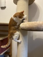 IMG_4625.jpeg