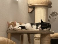 IMG_4610.jpeg