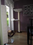 K1024_IMG_0541.JPG