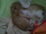 2012-05-25+14.47.15.jpg