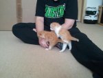 2012-06-09 14.08.19-1.jpg