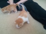 2012-06-09 14.08.27.jpg