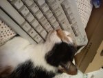 cleo entertaste.jpg