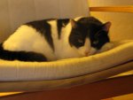 IMG_0563.JPG