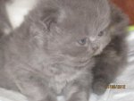Baby1.jpg