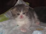 Baby2.jpg