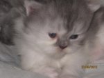 Baby4.jpg