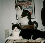Kira und Fritzi.JPG