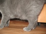 IMG_6767.JPG