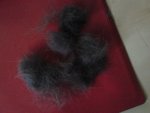 Haare.jpg