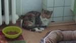IMG_2649Ecke.jpg IMG_2649Ecke.jpg