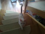 06072012179.JPG