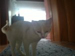 06072012189.JPG
