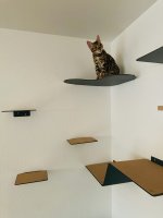 IMG_3860.jpeg