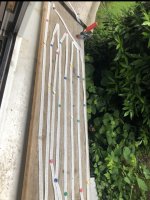 IMG_6863.jpeg
