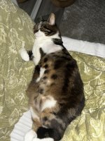 IMG_1473.jpeg