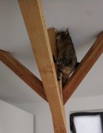_20240603_213017.JPG