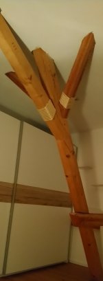 _20240603_213148.JPG