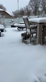 D594E817-4738-4B9D-831C-1020EFF4E8C0.jpeg