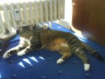 DSC00078.jpg