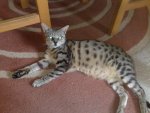 290620121243.jpg