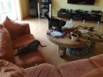 290620121240.jpg