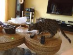 290620121238.jpg