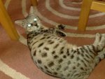 290620121235.jpg