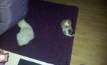 2012-07-10 22.51.33.jpg