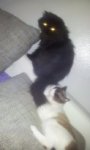 2012-07-07 21.09.17.jpg
