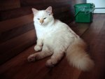 IMG_6786.JPG
