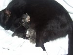 DSCF5873.jpg