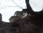 DSCF5897.jpg