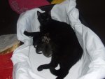 DSCF5899.jpg