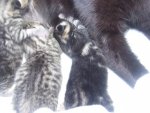 DSCF5914.jpg