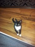 20120803_010932.jpg