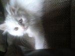 2012-06-05 12.59.01.jpg
