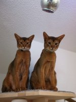IMG_20240618_140019.jpg